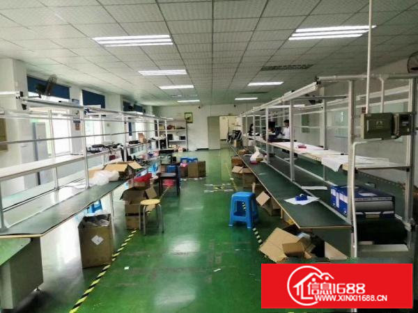 坪地六联新出二楼1500平原房东无公摊现成办公室