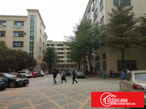 平湖新出原房东独院厂房一楼整层1200平方，带现成装修招租