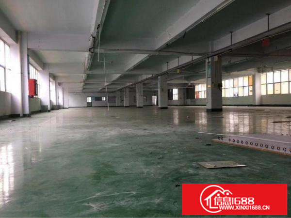 松白路附近原房东〉厂房3层独栋4200平方空地大