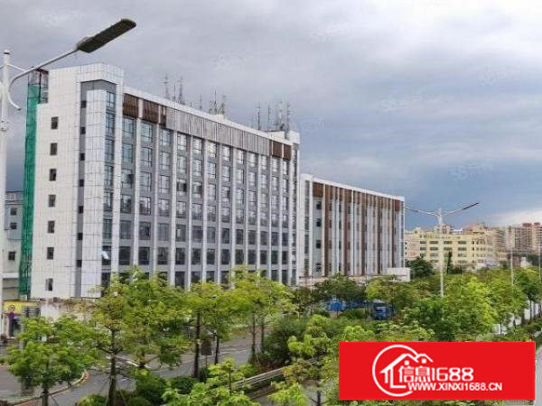 观澜新田市场附近楼上全新装修厂房800~3200平方出租可分