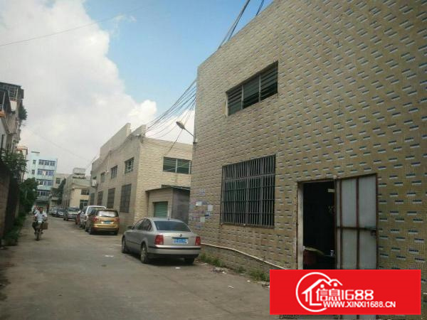 惠阳秋长新出钢构厂房1550平米火爆招租