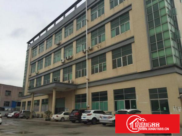 观澜松元环观中路边一楼6米高标准厂房报价28