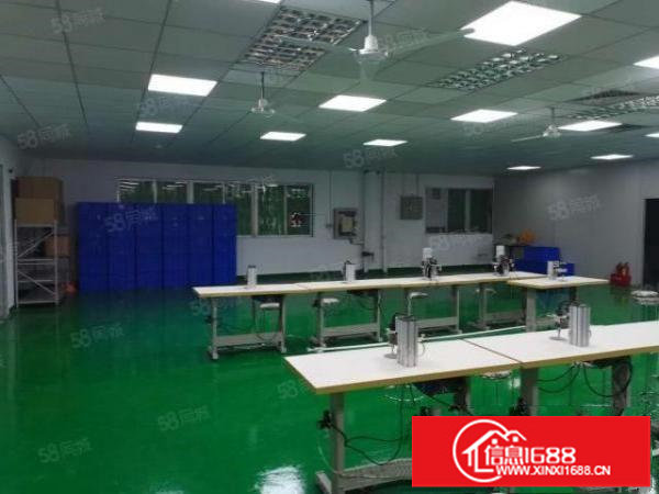 观澜福民1楼410平，带洁净车间，层高6米，园区形象好！