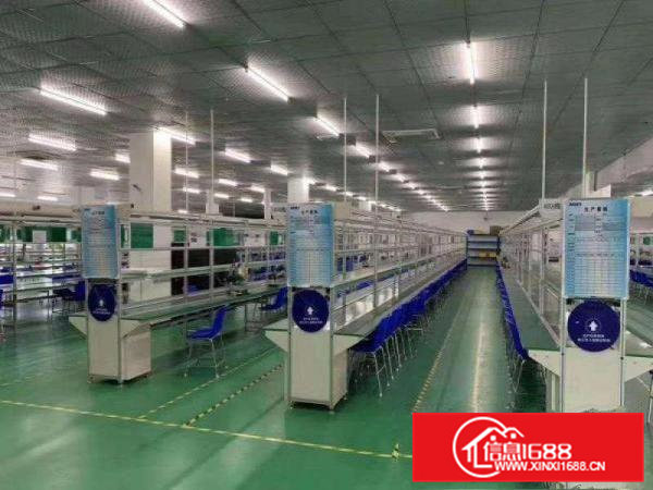 长安全新砖墙独院厂房5400平方任何行业！分租2000