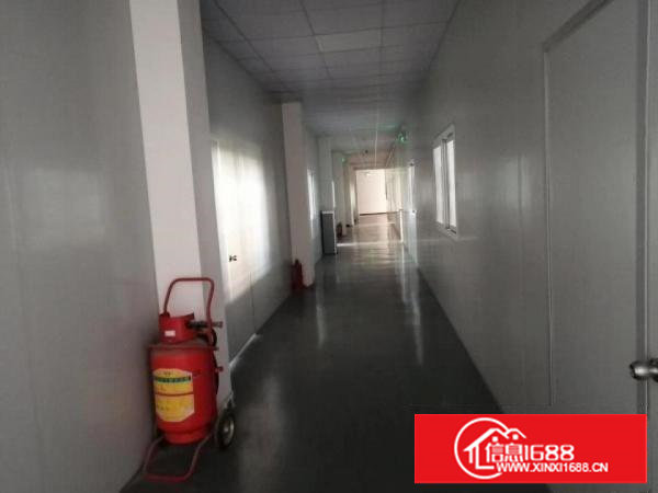 长安镇乌沙大润发旁新出楼上1500豪华装修水电齐全