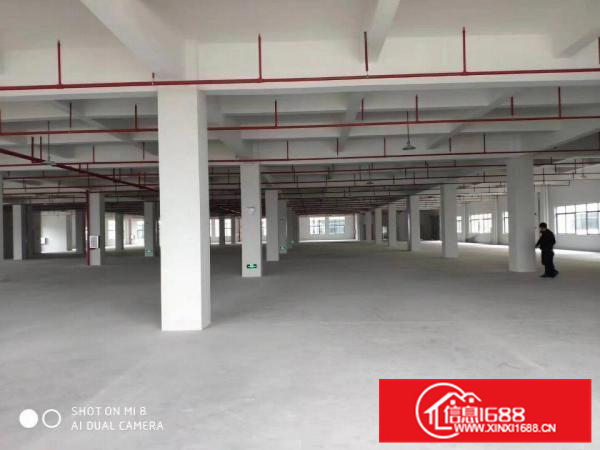 惠阳三和单层大面积带红本厂房可办环评8500平单层