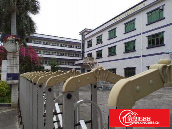 洋坑塘原房东小独院标准厂房1200平米包办环评