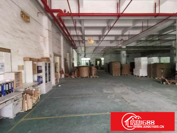 观澜福民（原房东）12楼2400层带消防喷淋牛角厂房出租