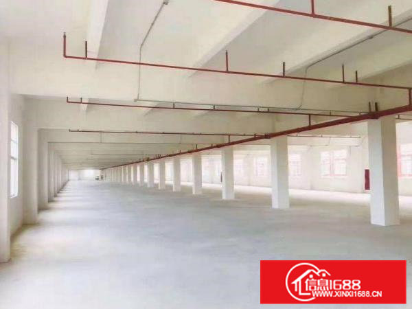 欧邓红本带航车厂房出租两栋可分租800平方