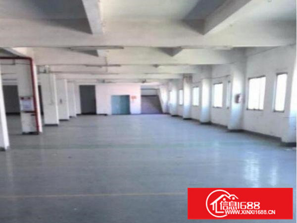 好消息！好消息！清溪新出标准楼房二楼2300平厂房出租