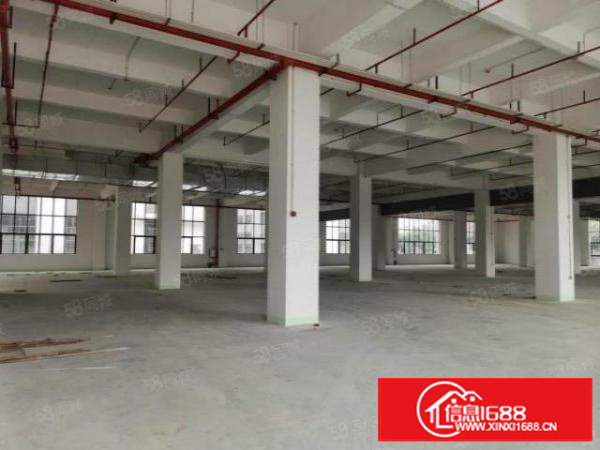 石碣标准一楼5500方（可分租高7米带牛角位好办环评）