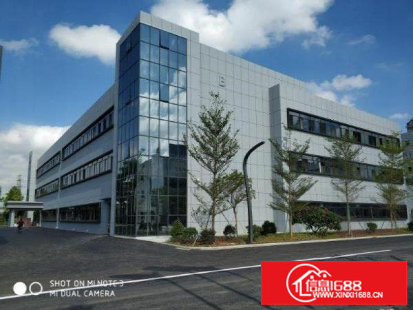 非中介石排高新园招租中可分租研发办公厂房电商展厅教育培训等