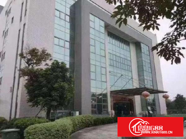 高埗标准楼房3楼3000平方厂房出租可分租