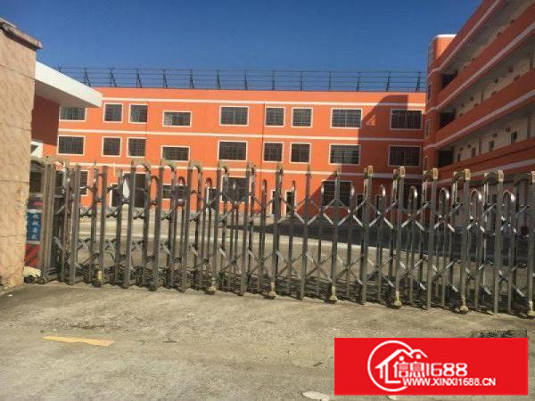 独院厂房5500业主招租大小分租