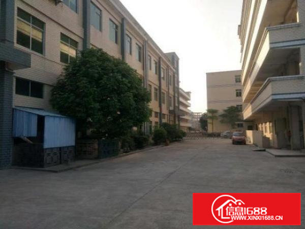 横沥原房东标准独院带现成装修形象非常