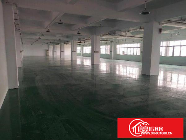 大小可分租水电齐全有现成办公室