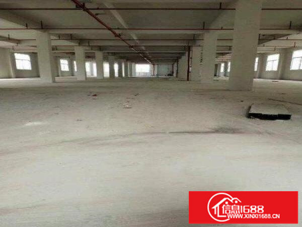 独院厂房A栋每层1500平，B栋每层2000平各三层可分租