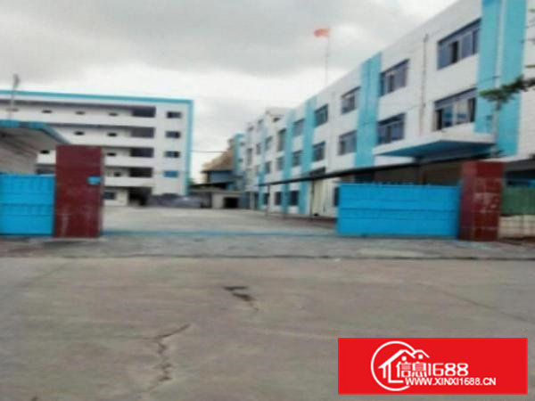 高埗工业区独院标准一楼1000平方招租水电齐全适合机械、五金