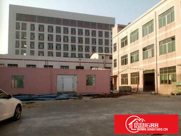 常平朗洲新出楼上650平米标准厂房招租