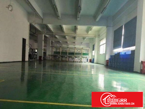 博罗福田标准楼上一整层1200平带豪华装修出租可分租