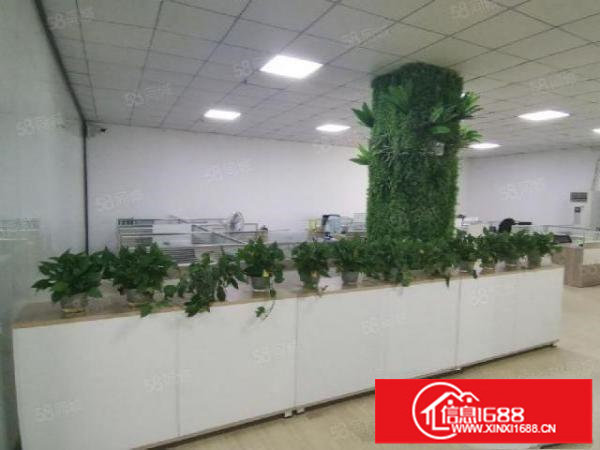 新和新出楼上2000平精装修红本厂房