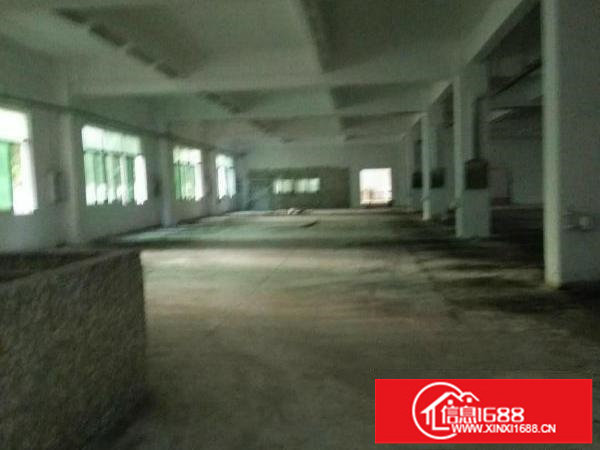 平湖辅城坳带装修二楼1000平方厂房