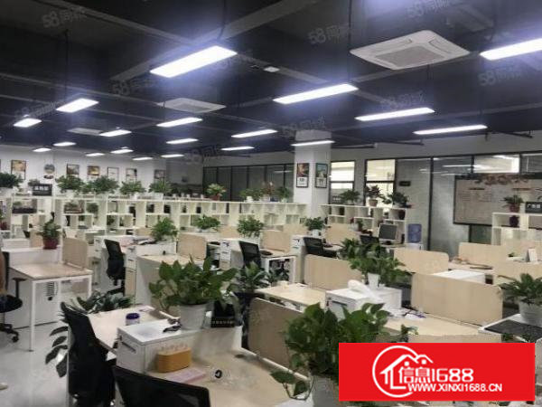 大浪行政中心1000平带家私精装修适合办公电商研发