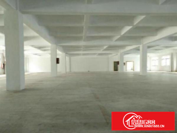 高埗工业区标准一楼1600平方招租水电齐全交通方便适合机械、