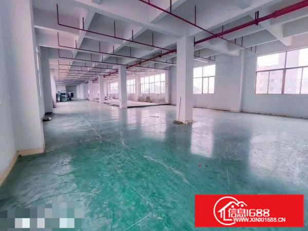 东深二线旁带装修厂房出租楼上整层2000平米价格实惠