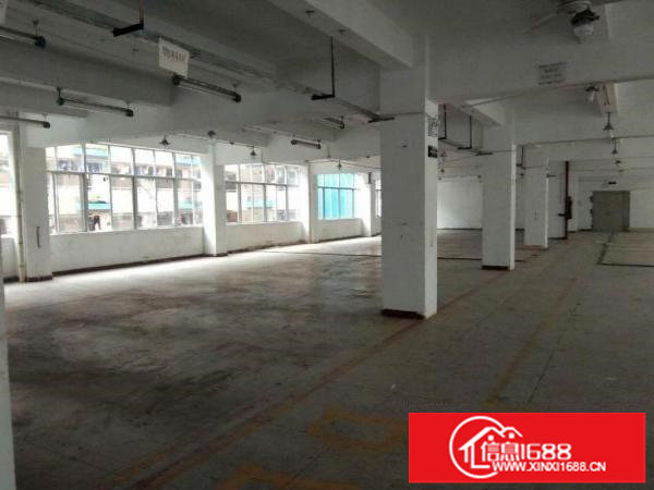 六约独门独院整栋厂房出租3500平米(可分租）