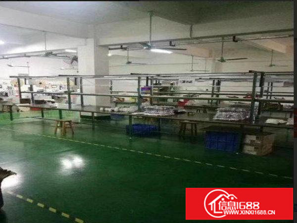 出租布吉长龙原房东厂房300平方米