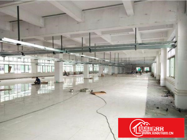 大岭山新出标准厂房1620平方，可办环评