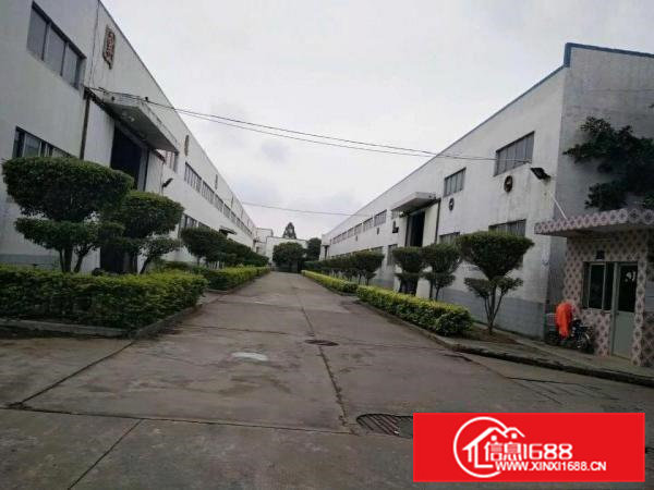 大岭山颜屋新出物流工厂12000平方钢构，8米高