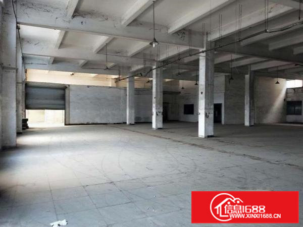 常平镇标准独院厂房原房东约4200平方出租