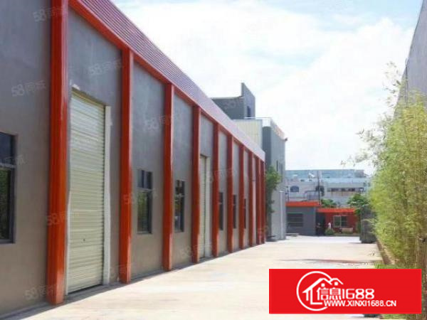 国有红本单一层独院,带独立共办公楼。物美价廉