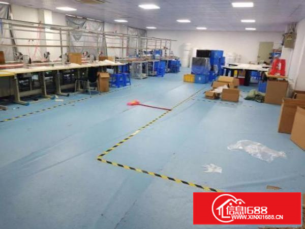 出租宝安区松岗东方社区独院350平无尘车间