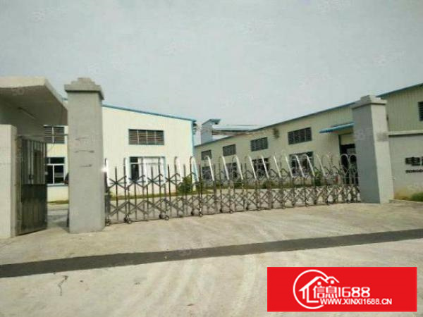 厂房出租，北滘1200平方，中高10米，方正实用，交通便利A