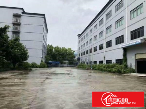 万江标准1500-5000平米低价招租可装行车;成熟工