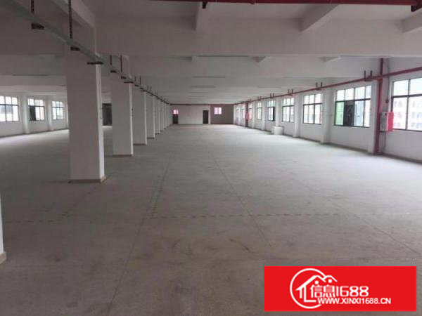 坪山金碧路一楼标准厂房860平带装修实际面积招租