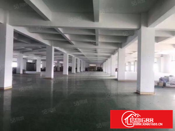 万江原房东工业园一楼1200平米带装修