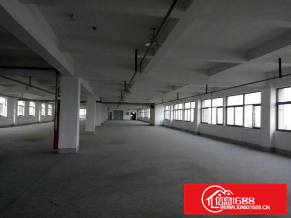 里水布新2000方可分租可办环评适合印花化妆品印花