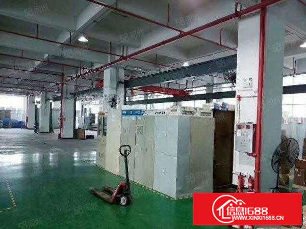 大岭山镇空出独院标准三层4000平方原房东厂房直租可分租