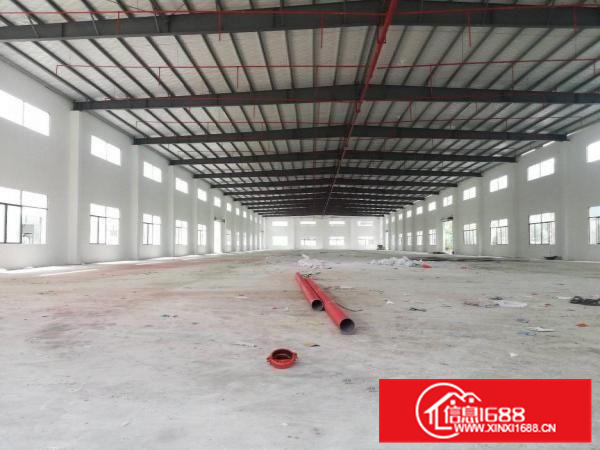 惠东白花钢构厂房14000，500起租大小可分