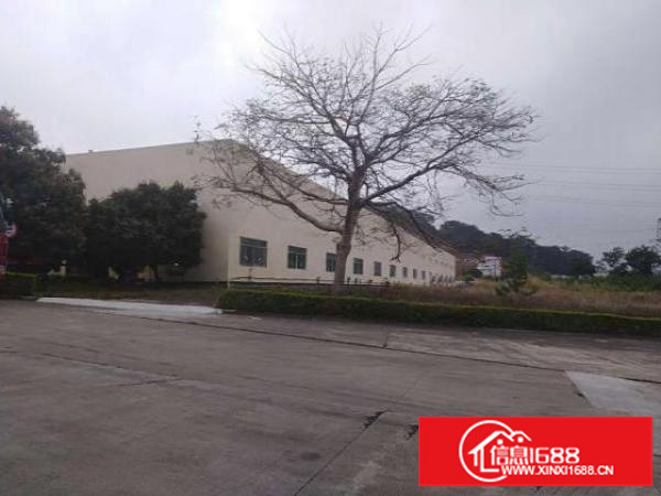 坪地年丰新出滴水9米钢构工业厂房2000平米起租（可办环评）