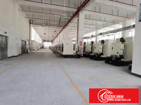 清溪标准1楼6000平方厂房出租高度7米水电线路齐全（可分）