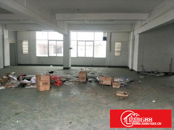 大利480平厂房出租12块，便宜实用