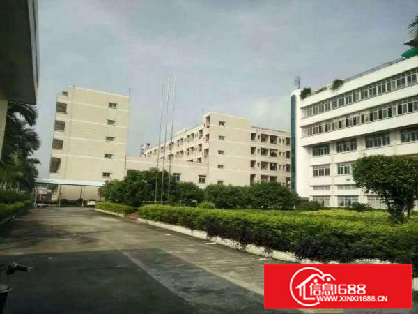 常平10万工业园厂房出租大小分租