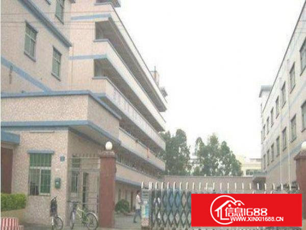 出租坪山三洋湖标准厂房2800平米可分租1400平