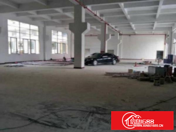 高埗标准一楼厂房500-5000平米低价招租水电线路齐全,空