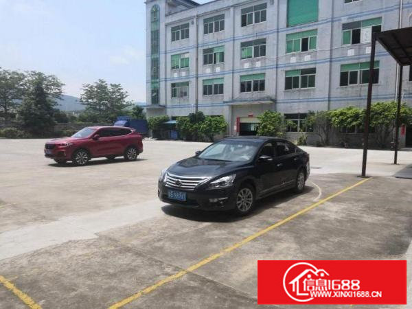 14块招租坑梓原房东红本带装修厂房800平招租